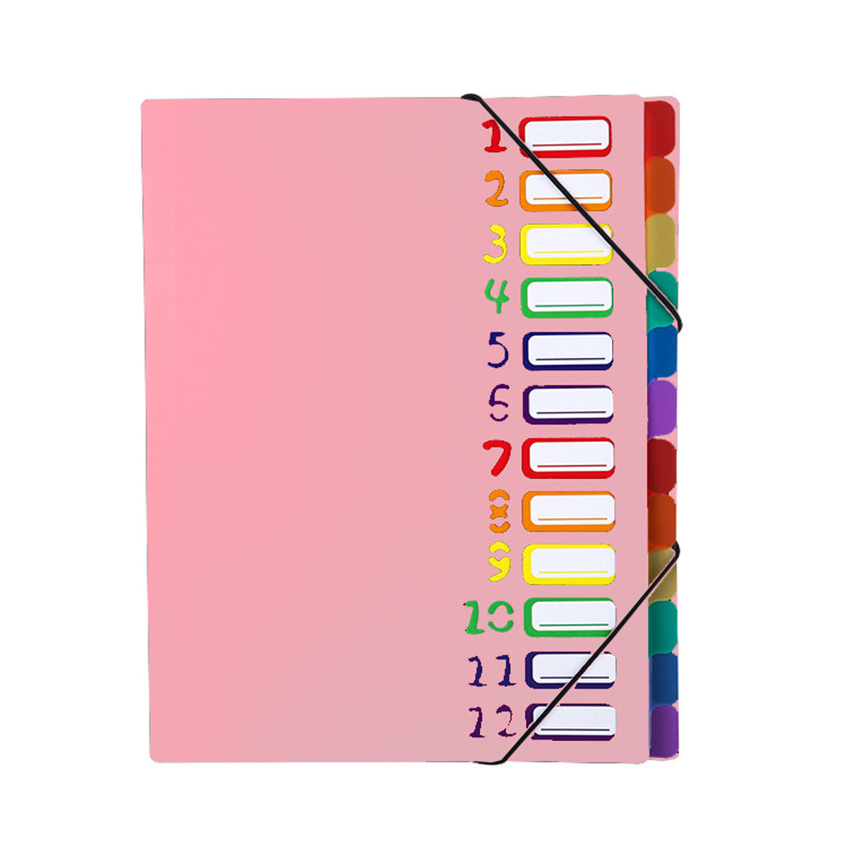 12 Pocket Expanding File Folder, File Organizer, Letter Size Hold 240 Sheets, Plastic Rainbow Lining, Colored Filing Folder Designed for Home, Office, School