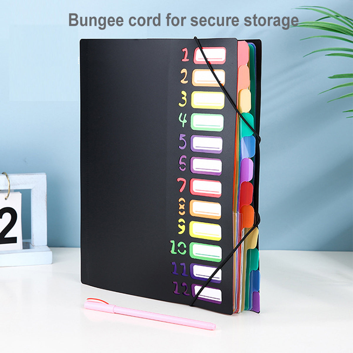 12 Pocket Expanding File Folder, File Organizer, Letter Size Hold 240 Sheets, Plastic Rainbow Lining, Colored Filing Folder Designed for Home, Office, School