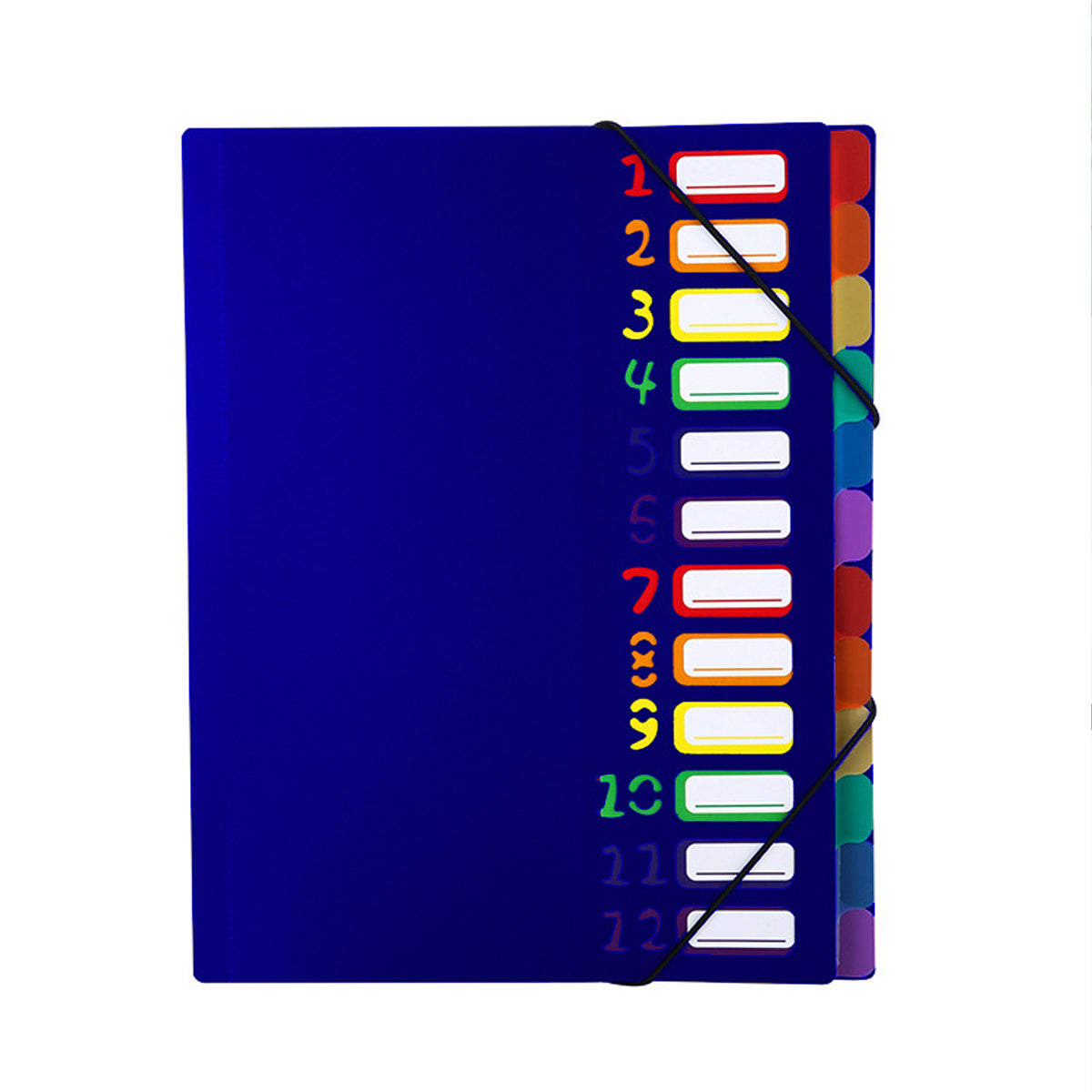 12 Pocket Expanding File Folder, File Organizer, Letter Size Hold 240 Sheets, Plastic Rainbow Lining, Colored Filing Folder Designed for Home, Office, School