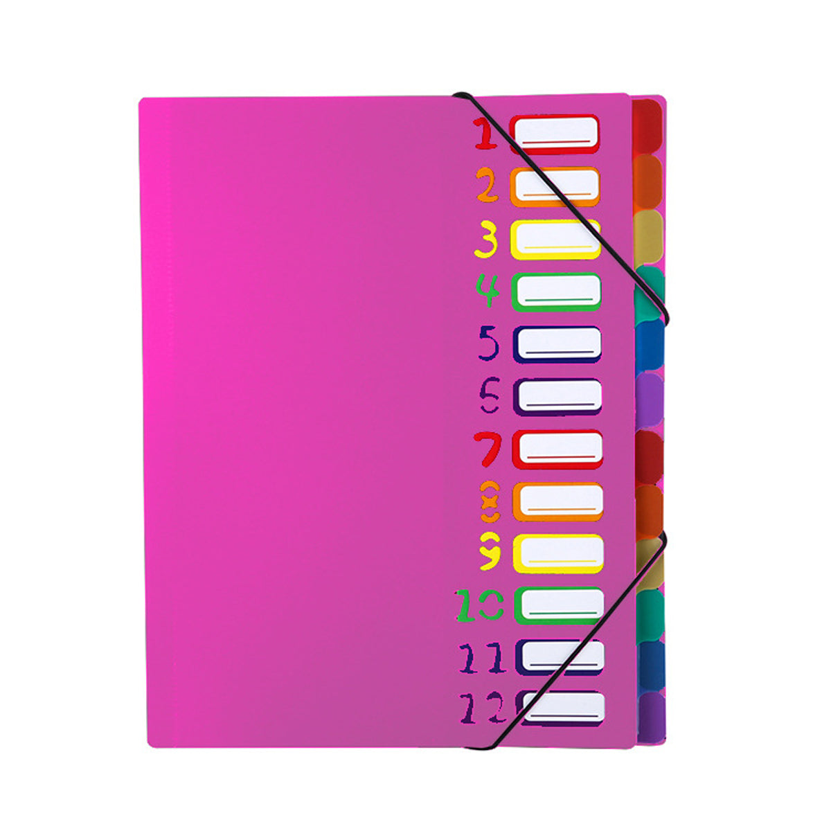 Filing Folder 12 Grid 12 Pocket Expanding File Folder, File Organizer, Letter Size Hold 240 ...