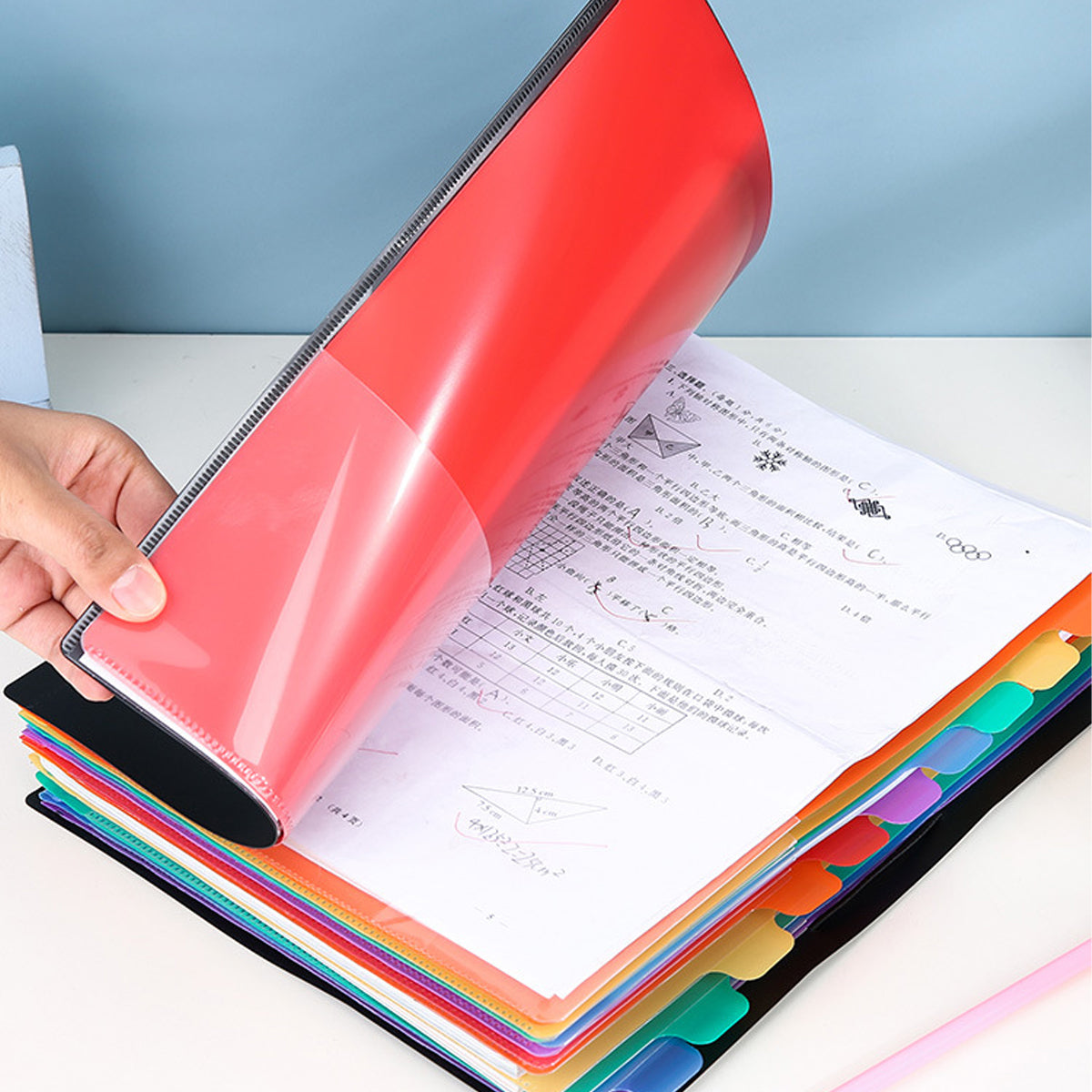 File Folder Collections 12 Pocket Expanding File Folder, File Organizer, Letter Size Hold 240 ...