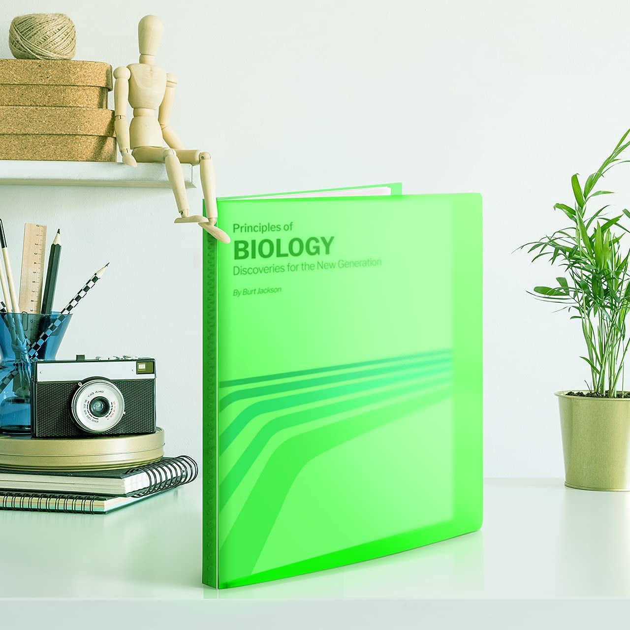 Presentation Books with Bright Colors - (Assorted, 4-Pack) Colorful Translucent Poly Folders with Plastic Sleeves, 24 Pockets Display 48 Pages, Durable Portfolio Books Include Labels