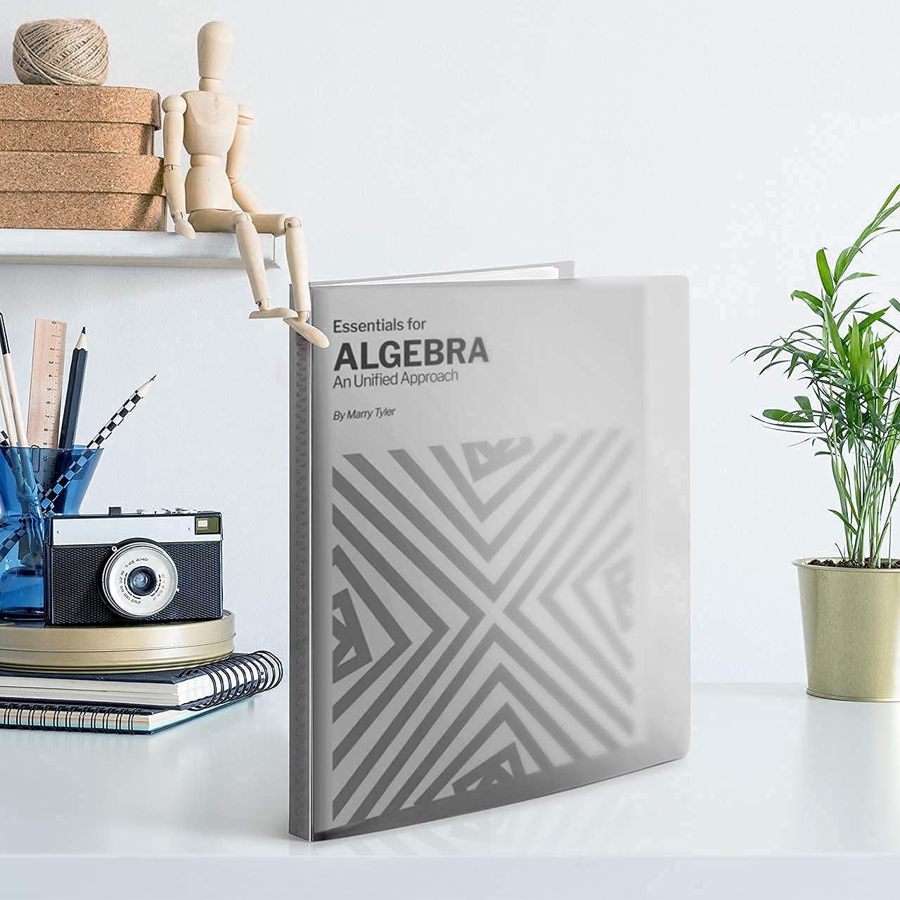 Presentation Books with Bright Colors - (Assorted, 4-Pack) Colorful Translucent Poly Folders with Plastic Sleeves, 24 Pockets Display 48 Pages, Durable Portfolio Books Include Labels